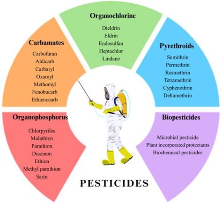 Which nuts have less pesticides?