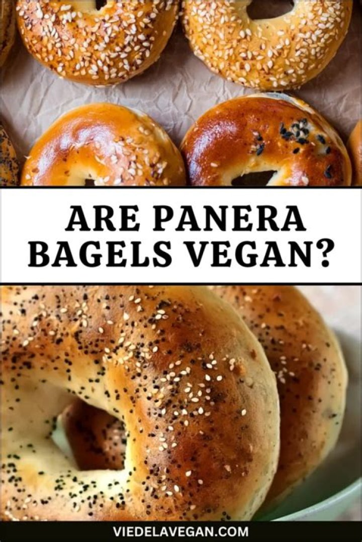 Which Panera bagels are vegan?