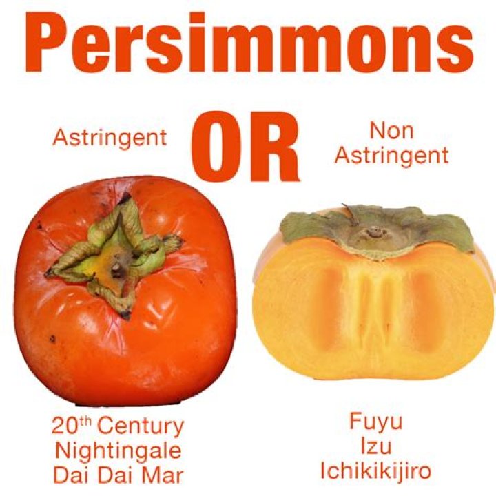 Which persimmons are astringent?