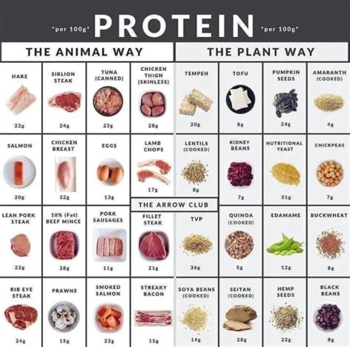 Which protein is best and cheap?
