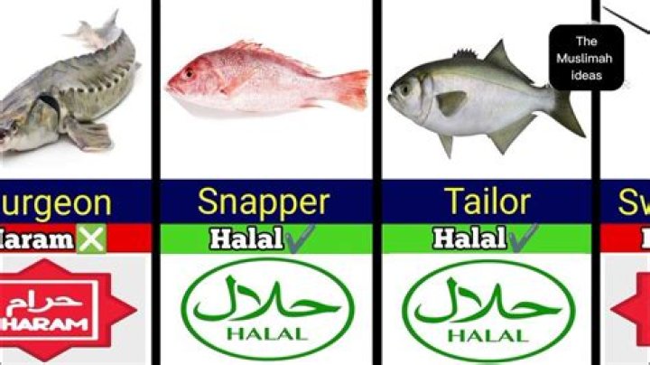 Which type of fish is haram in Islam?