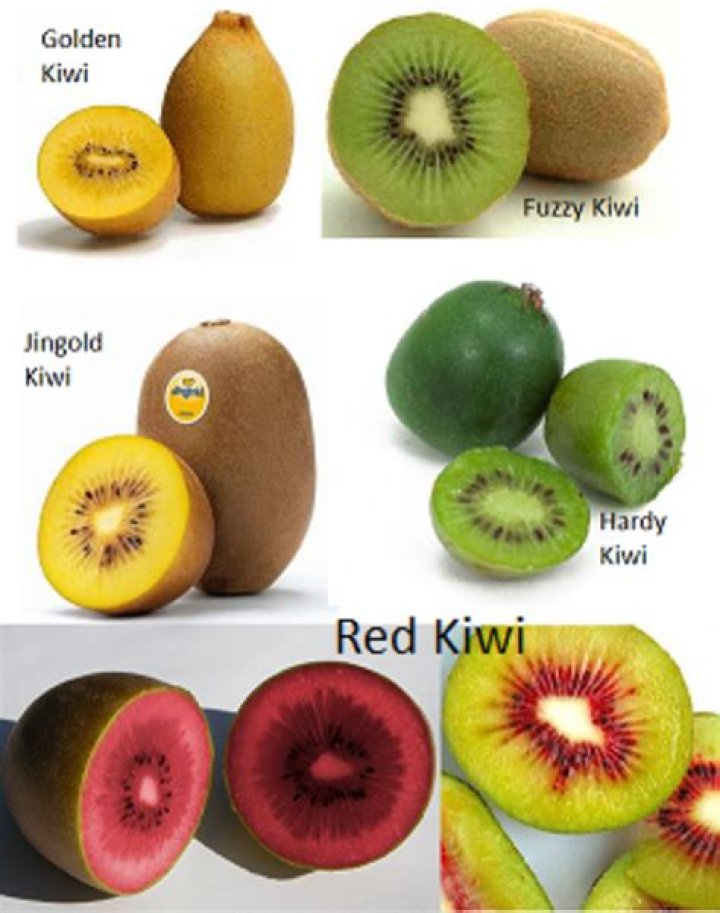 Which type of kiwi is best?