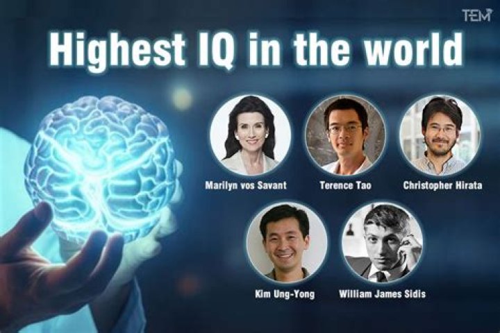 Who has the highest IQ in the world?