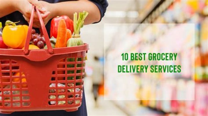 Who is the biggest grocery delivery service?