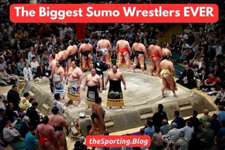 Who is the greatest sumo wrestler ever?