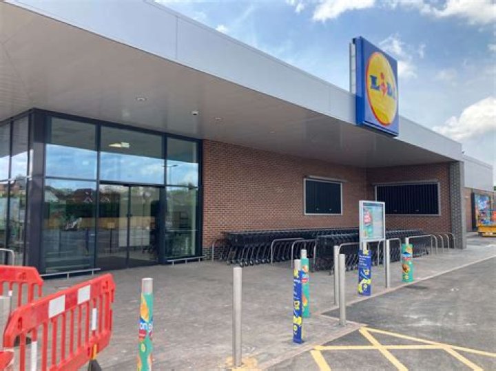 Who owns Lidl chains?