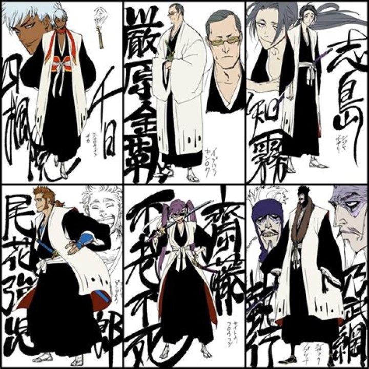 Who were the original gotei 13?