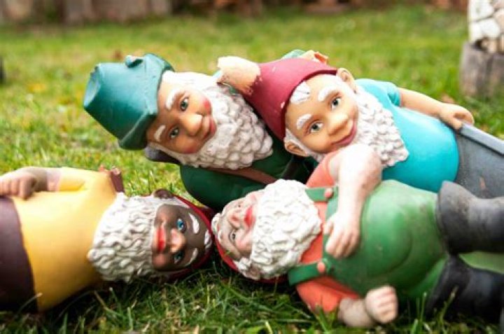 Why are gnomes popular right now?