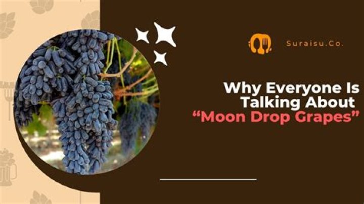 Why are moon drop grapes so expensive?