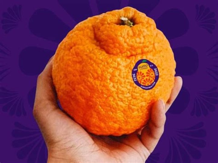 Why are sumo oranges so expensive?