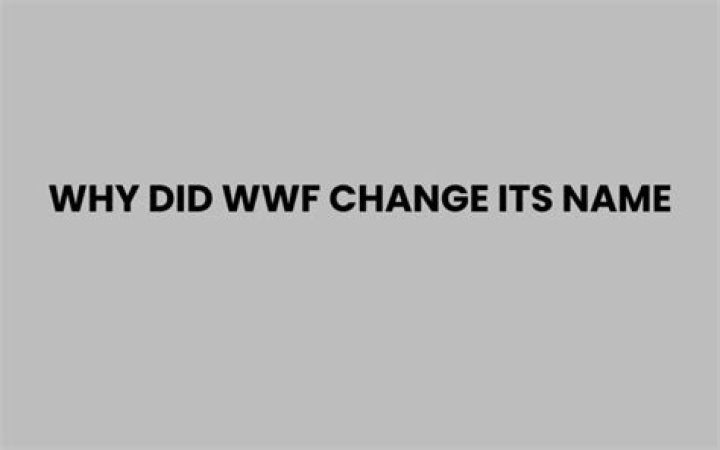 Why did Daim change its name?