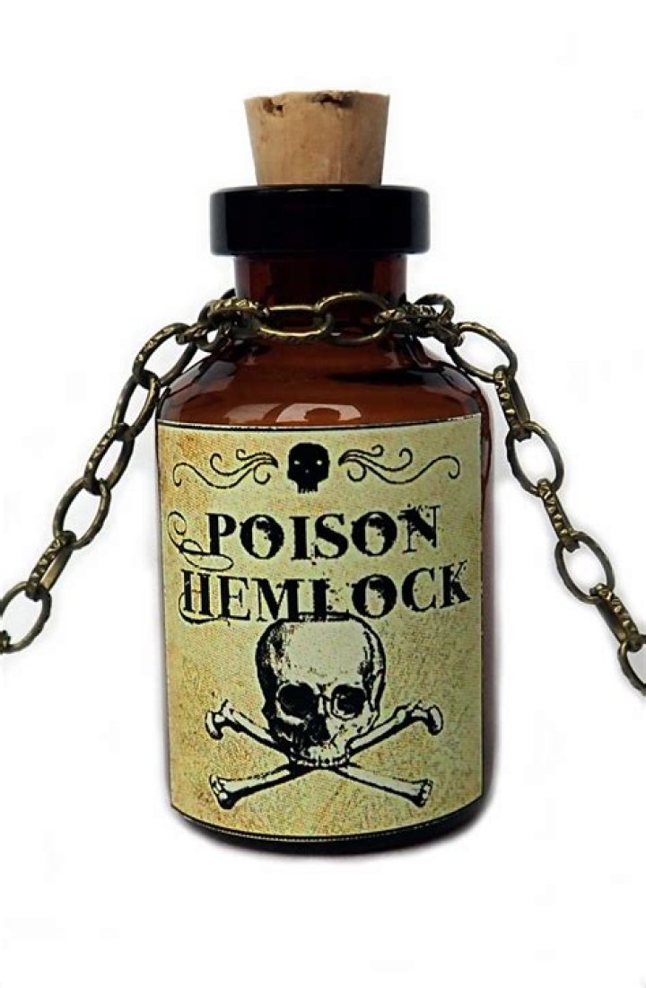 Why did Juliet poison herself?