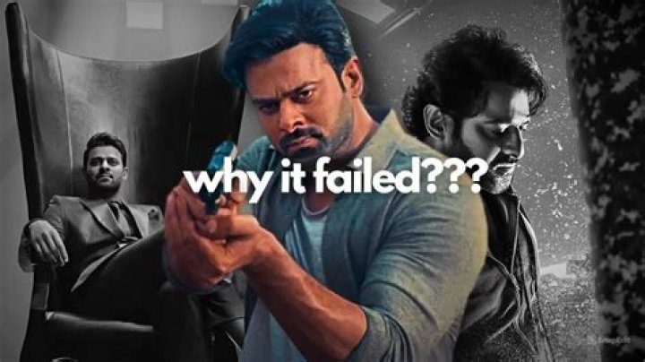 Why did Saaho fail?