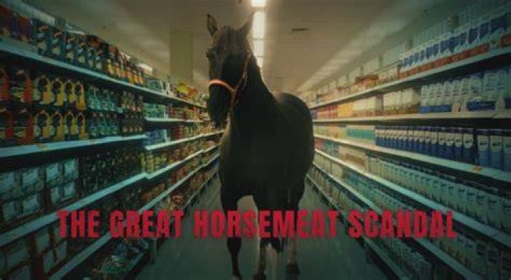 Why did the horsemeat scandal happen?