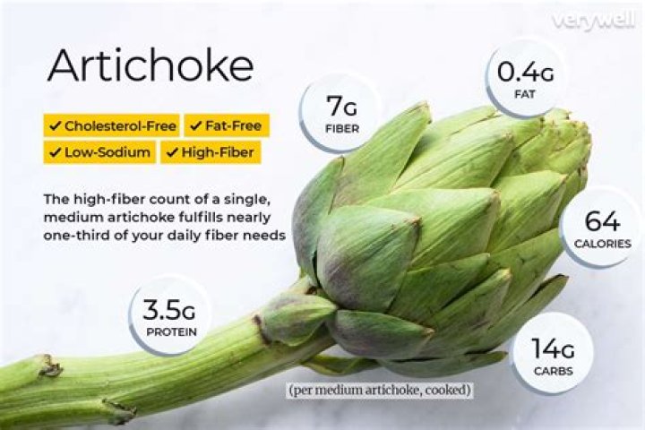 Why do artichokes have so many carbs?