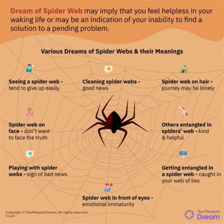 Why do I have so many cobwebs in my house?