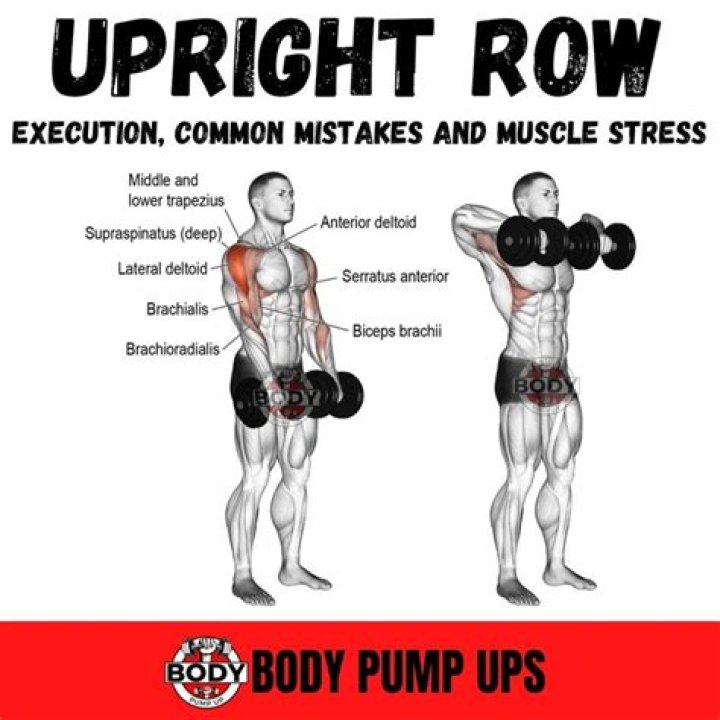 Why do people do upright rows?