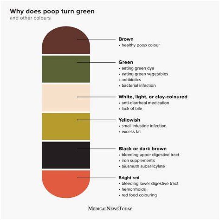 Why do white castles make you poop?
