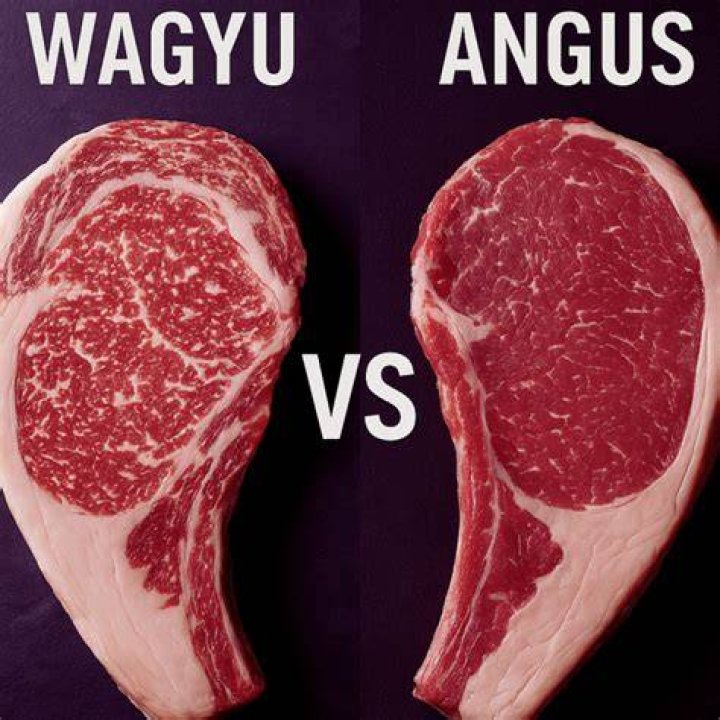Why does Angus beef taste better?