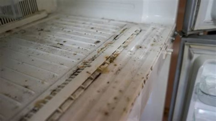 Why does butter mold in the refrigerator?