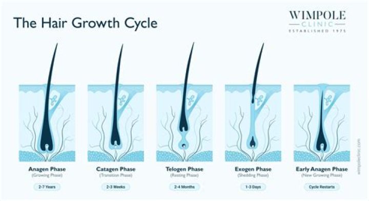 Why does Monat make your hair fall out?