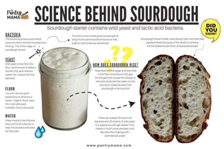 Why does sourdough bread give me indigestion?