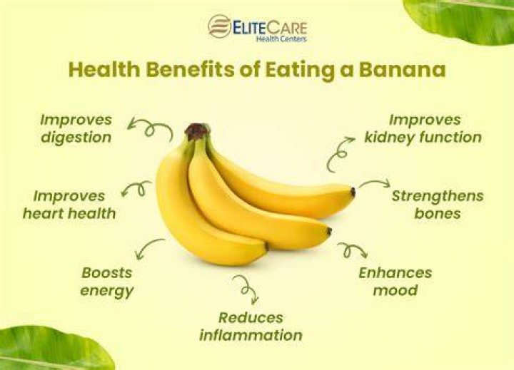 Why is a banana classed as a herb?