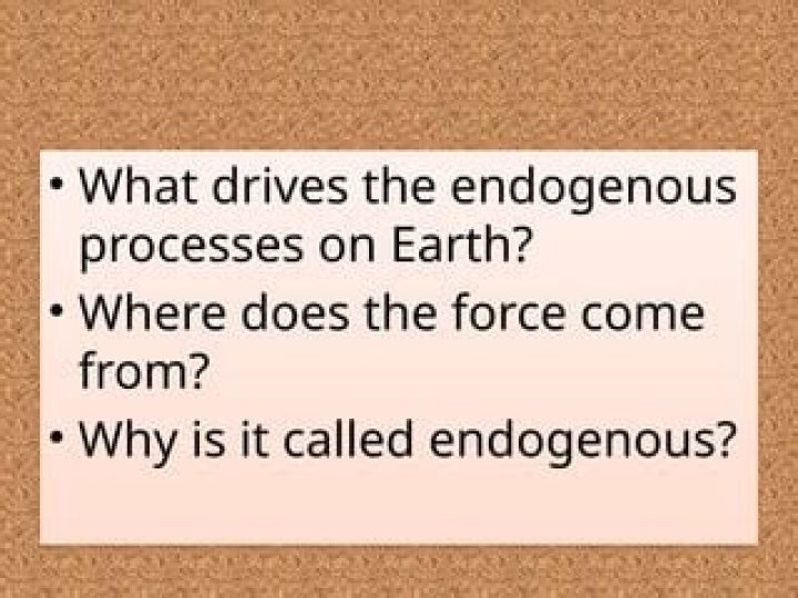 Why is called endogenous?