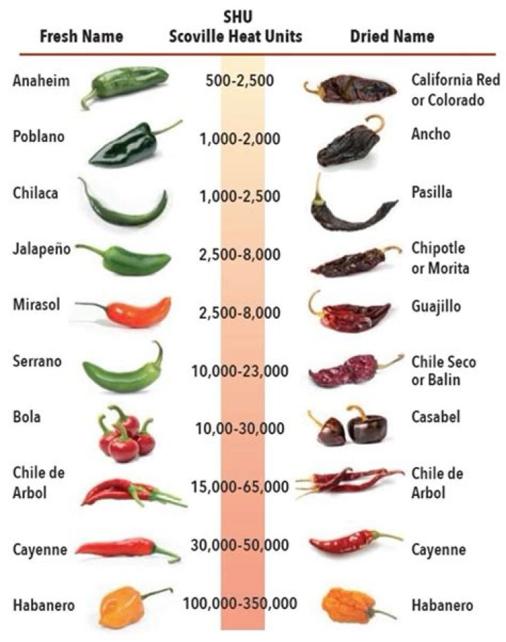 Why is chilis called chillis?