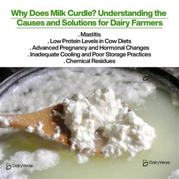 Why is curdling of milk considered as a chemical change?