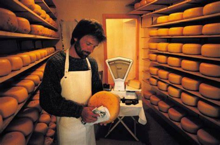 Why is Irish cheese so good?
