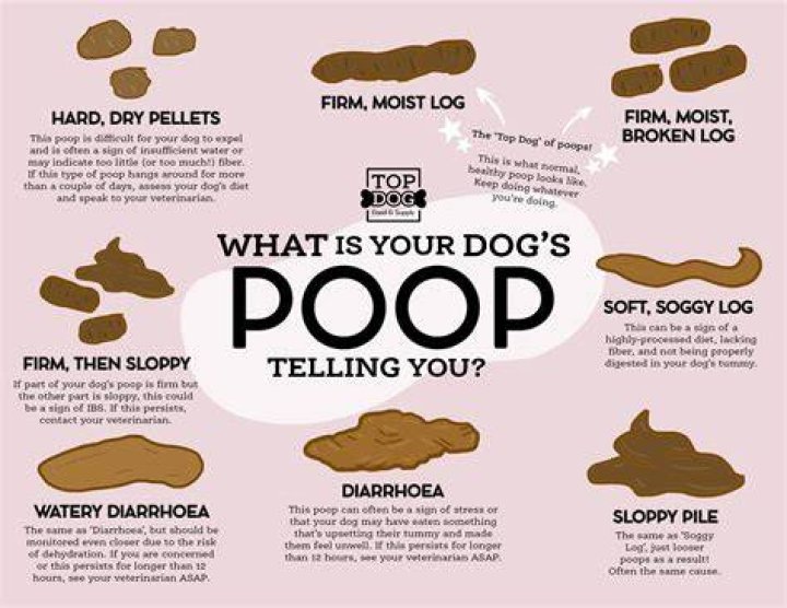 Why is my poop red after eating Takis?