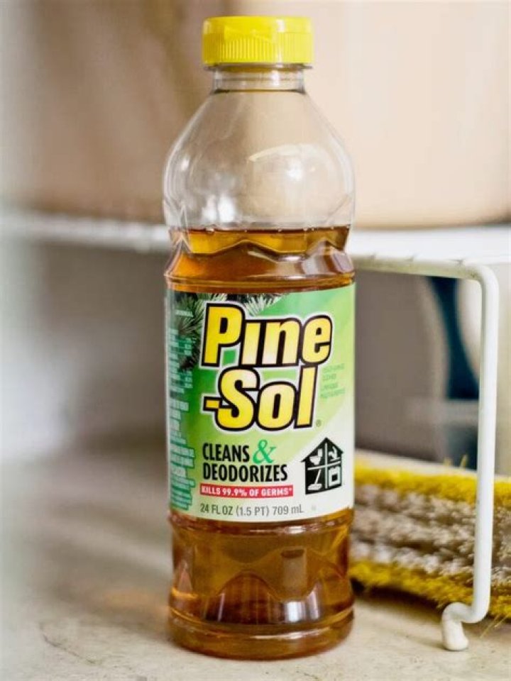 Why is Pine Sol toxic?