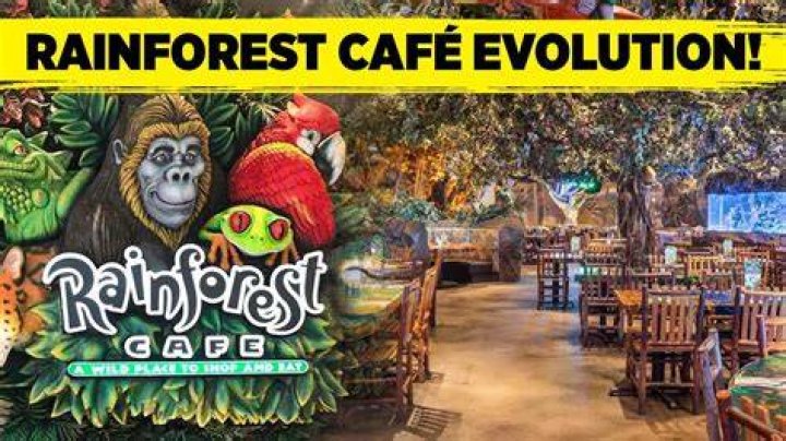 Why is Rainforest Cafe so expensive?