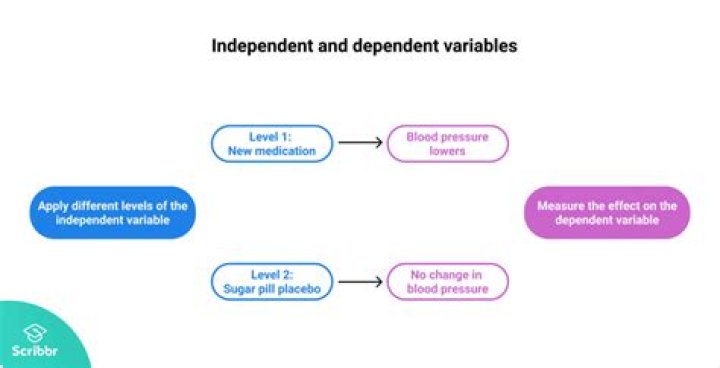 Why is X independent and Y dependent?
