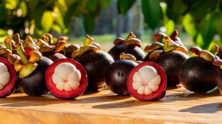 Why mangosteen is forbidden?