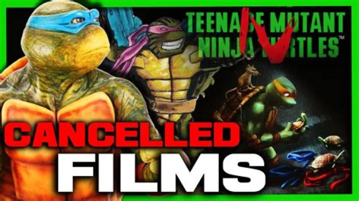 Why was Teenage Mutant Ninja Turtles Cancelled?