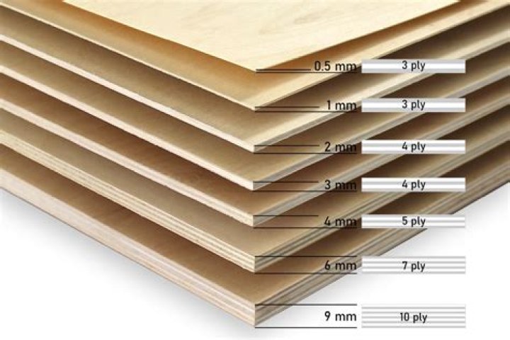Will a Rotozip cut plywood?