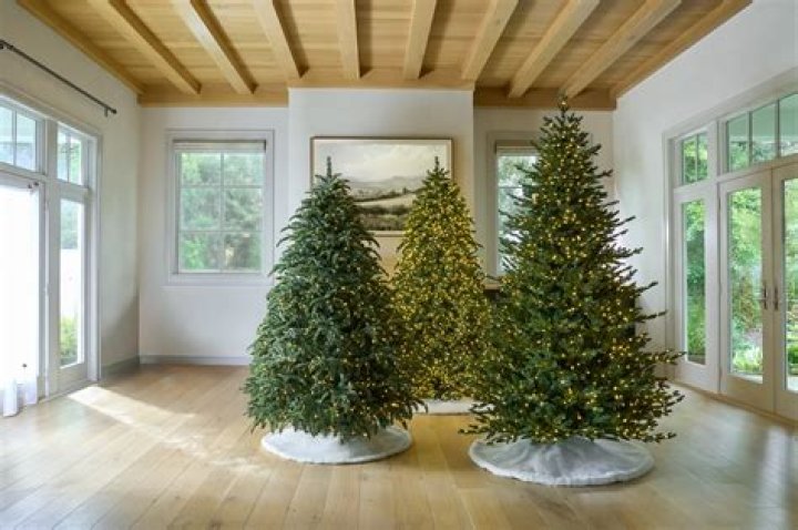 Will Costco have Christmas trees 2021?