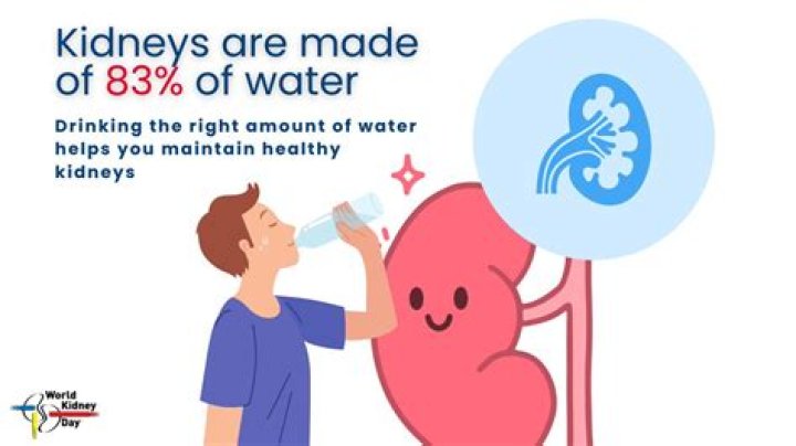 Will drinking more water help kidney function?