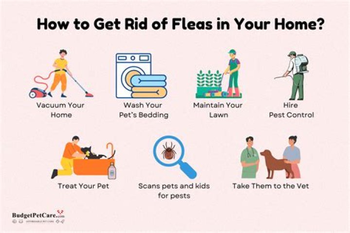 Will frontline get rid of existing fleas?