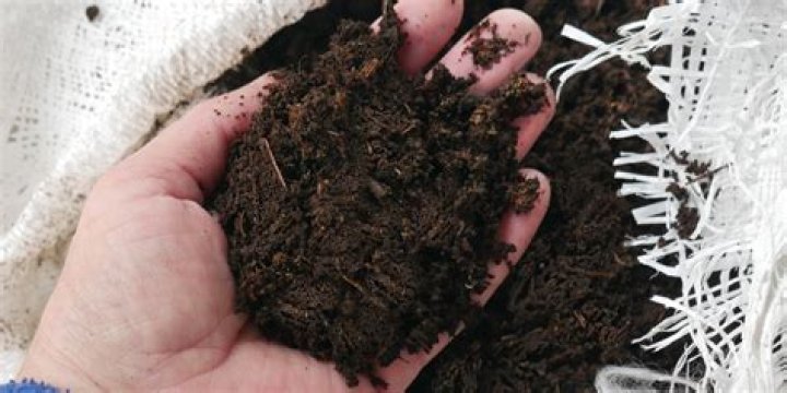 Will grass die if covered with dirt?